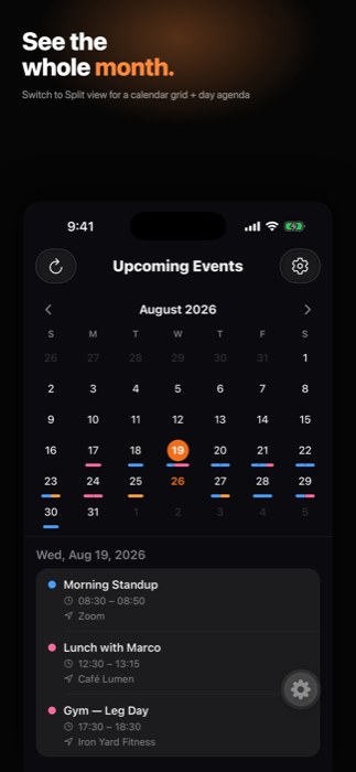 Alarmando split calendar + agenda view